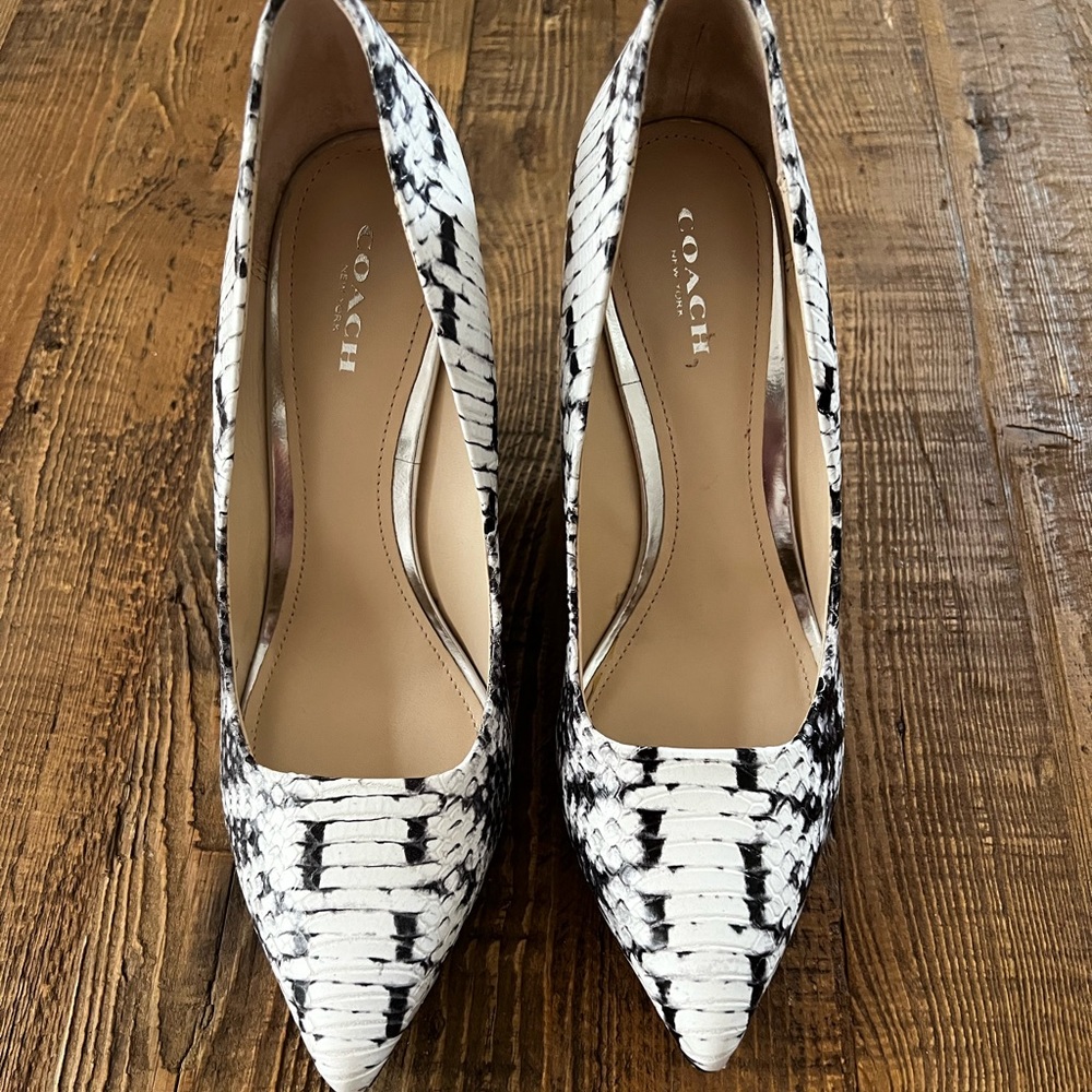 Coach beautiful shoes. Size 8B. Colour shows clearly in the picture.